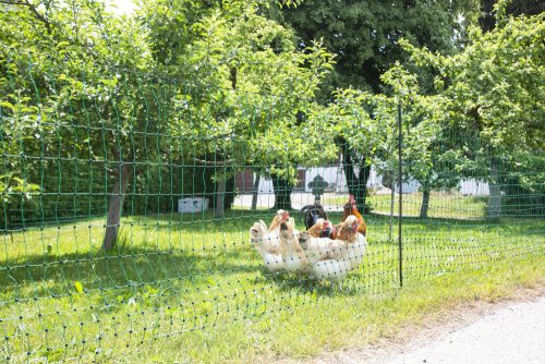 Napínacia sieť na hydinu AKO PoultryNet - zelená, 15 m, 106 cm, dvojbodová